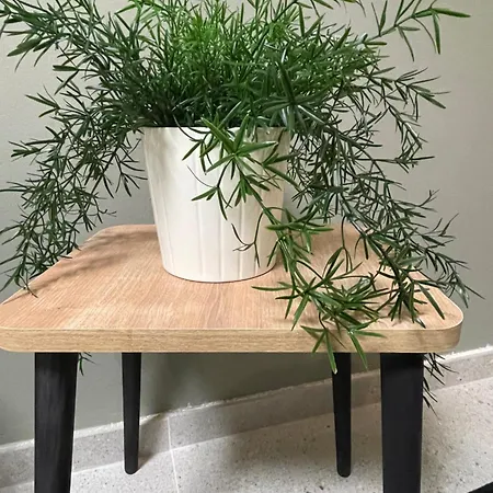 Apartment Zeno *